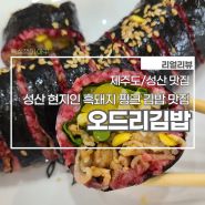 [제주도/성산 맛집]_성산 현지인 흑돼지 핑크 김밥 맛집 '오드리김밥'