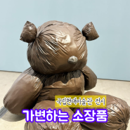 국립현대미술관 서울 MMCA 소장품 특별전 '가변하는 소장품' 방문기