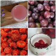 과일 포도주 담그기 산딸기 청 철 세척 보관 산딸기주 만들기 과실주 담금주