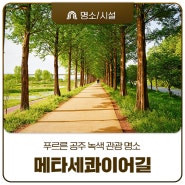 공주 녹색 관광 명소, 정안천생태공원 메타세콰이어길