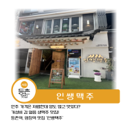 등촌역, 염창역 맛집 '인쌩맥주'-내돈내산/ 퇴근하고 지칠 때는 시원한 얼음 생맥주 한 잔!