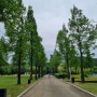 [장소 추천] 천안 소노벨 산책 '천안온천중앙공원(천안종합휴양관광지)'을 소개 드립니다.