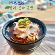 속초 고성 맛집 베짱이 문어국밥 아이와 아침 식당 추천 건강한맛