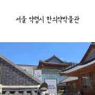 서울약령시 한의약박물관 관람기(feat 군신좌사란?, 제철 우리한방차)