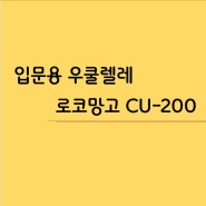 초보자용 우쿨렐레 추천 로코망고 CU_200