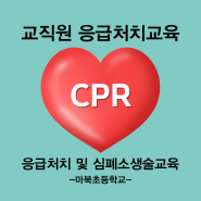 [태양교육]교직원 응급처치 및 심폐소생술 교육_ 마북초등학교에 다녀왔어요!