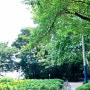 🌲 용두산공원~복병산 길~중앙역