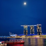 24.5.20(2) / 싱가포르 창이 공항에서 지하철로 도심 이동하기! 싱가포르 물가 알아보기! 싱가포르 맛집 지지 완탕면! 머라이언 공원, 마리나 베이 쇼핑몰 야경!