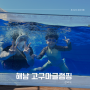 전남글램핑 해남 고구마글램핑 수영장, 무료바베큐까지!