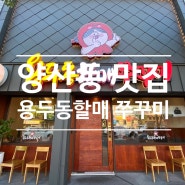 광주 북구 양산동 맛집 [ 용두동할매쭈꾸미 양산점 ]