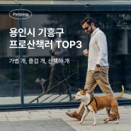 용인시 기흥구 프로산책러 TOP3