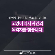 '통영시 미수해양공원 보듸섬 산책로 고양이 익사 사건'의 목격자를 찾습니다.