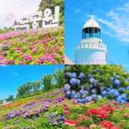 신안 섬 여행 2024 전남 신안 수국축제 기본정보 도초도 가는길 여객선 배편 일정