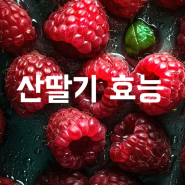 산딸기 다이어트에 도움이 될까? 산딸기 효능, 칼로리!