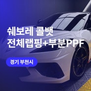 콜뱃의 변신! 인천, 부천 랩핑 고광택 필름 유광화이트+생활보호 PPF