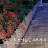드라마 동백꽃필무렵 촬영지 포항 구룡포 일본인 가옥 거리 주차 가볼만한곳
