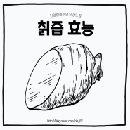 칡차 생칡즙의 효능 갱년기 칡즙 복용방법