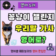 꽁냥이 챌린지 꽁꽁 얼어붙은 한강 위로 고양이가 걸어다닙니다 영어로?