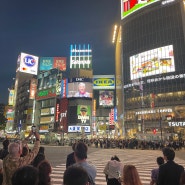 일본 도쿄 여행 e심 아이폰 이심 eSIM 사용법 구매후기!
