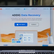 외장하드 삭제 데이터 파일 복구 - Tenorshare 4DDiG Data Recovery