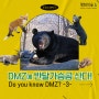💚[알쓸숲잡] 두유노 DMZ? 멸종위기생물 'DMZ에 반달가슴곰 산다!!'