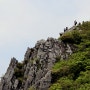 정선 두위봉(1,470m) 야생화 산상의 화원