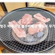 청주 야외 바베큐장 캠핑장 실내놀이터도 있는 룰루바베큐 팩토리 내돈내먹 솔직 후기