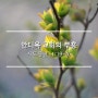 안디옥 교회의 부흥 / 사도행전 11:19-26