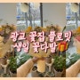 [수원/이의동] 광교 꽃집 플로밋 방문후기 (생일 꽃다발)