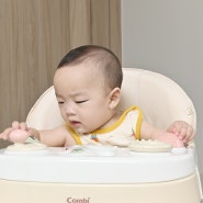콤비 아기 보행기 추천 오가닉 베이지 6개월 아기
