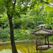 서울 창덕궁 후원 나들이