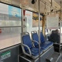 [하노이일상]대중교통-버스타기