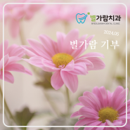 ★별가람치과 2024년 다섯번째 기부★