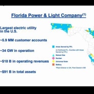 미국 유틸리티 기업, 신재생에너지 전문 넥스트에라 에너지