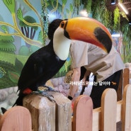 서울근교 주말 아이랑 주렁주렁 동물원 하남점