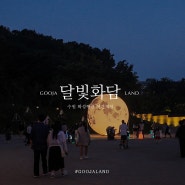 달빛화담 - 수원 화성행궁 야간개장, 수원에서 아이와 함께 가기 좋은 밤 산책