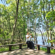 대전 가볼만한곳 산책하기 좋은 세천생태공원 세천유원지