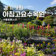 서울 근교 드라이브 가평 아침고요수목원 봄꽃페스타