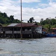 [브루나이 여행 4] 브루나이 전통 수상가옥 캄퐁아에르 마을