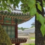 서울 창덕궁 나들이