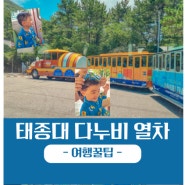 태종대 다누비열차 예약 시간 부산 기차 여행 수국 명소 꿀팁