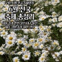 6월 서울 경기 가볼만한곳 축제 페스티벌 총정리 부산 대구 울산 제주까지