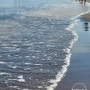 건강한돼지:)삼양해수욕장 맨발로 걷기