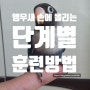 앵무새와 친해지는 방법 - 손에 올리는 단계별 훈련 방법