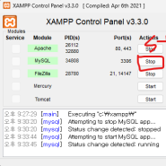 XAMPP Mysql 비밀번호 설정