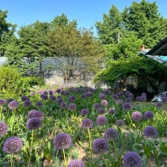 경기광주 율봄식물원 : 레일썰매, 동물농장 체험 꽃구경 나들이장소