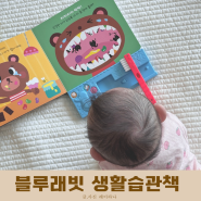 블루래빗 책육아로 영유아기 생활습관 교육하기