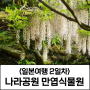 [일본여행 2일차]일본 나라공원 사슴 만엽식물원 등나무 축제