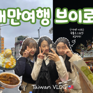 [VLOG] 대만여행 브이로그🇹🇼 | 여행지원금 당첨! | 한국인 국룰코스🚍(융캉뉴러우멘, 스무시하우스, 타이베이101, 딘타이펑, 야시장) | 너무 짧은 2월 대만 우정여행