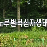 [대전 여행] 노루벌 적십자 생태원이 볼 것이 많네요.
